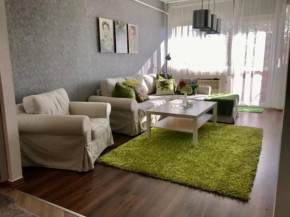 Nagyerdei Rózsahegy 1 Apartman Greatforest Rosehill 1 Apartment